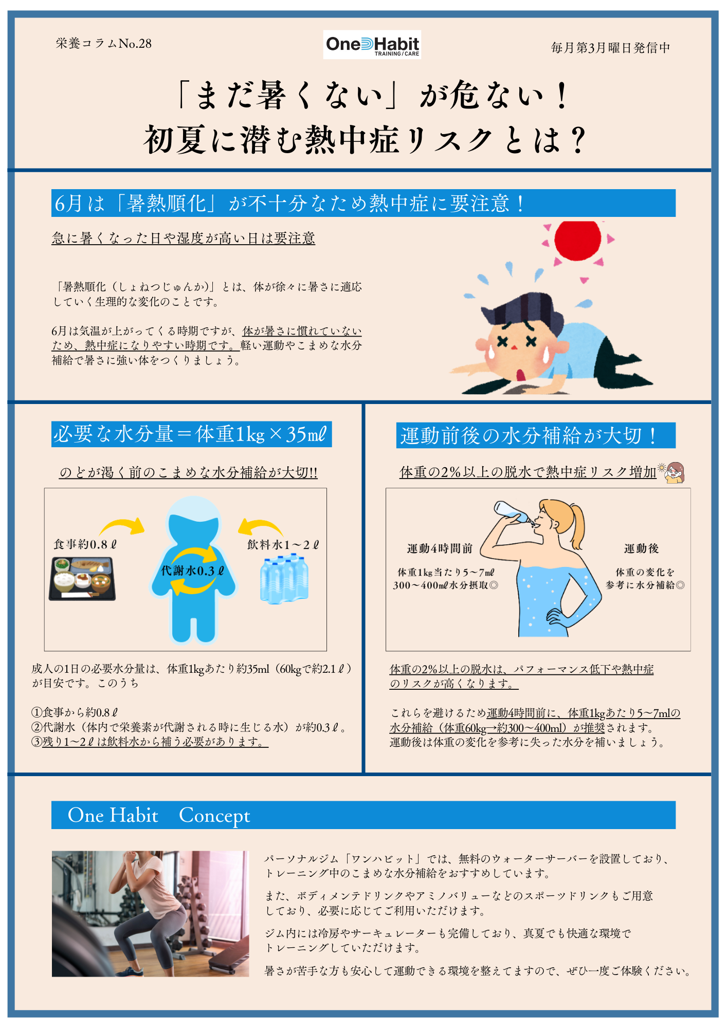 栄養コラム (6)