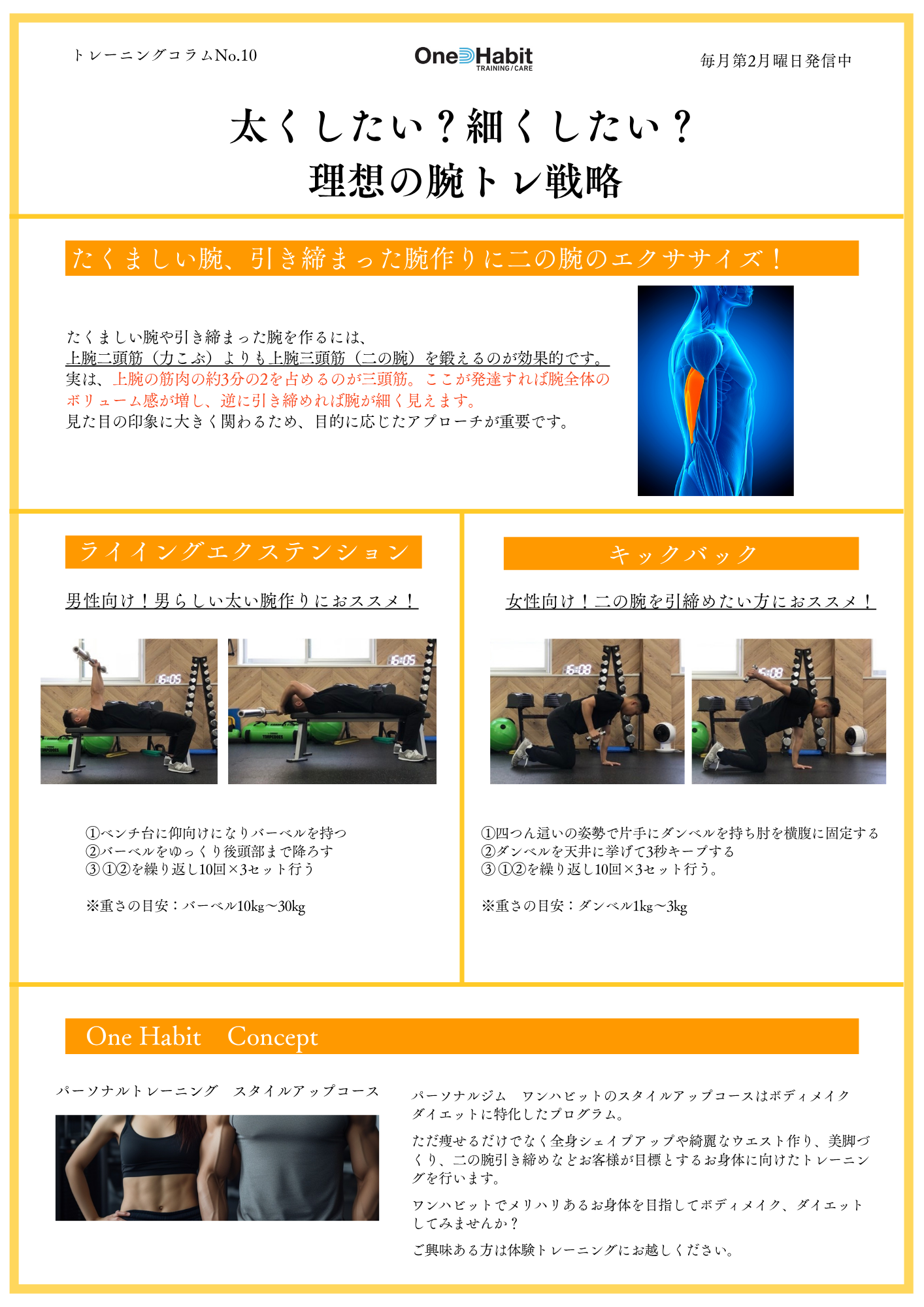トレーニングコラム (6)
