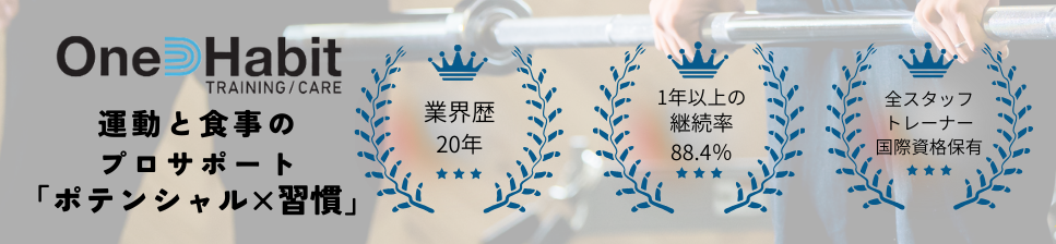 ニューフェイス2