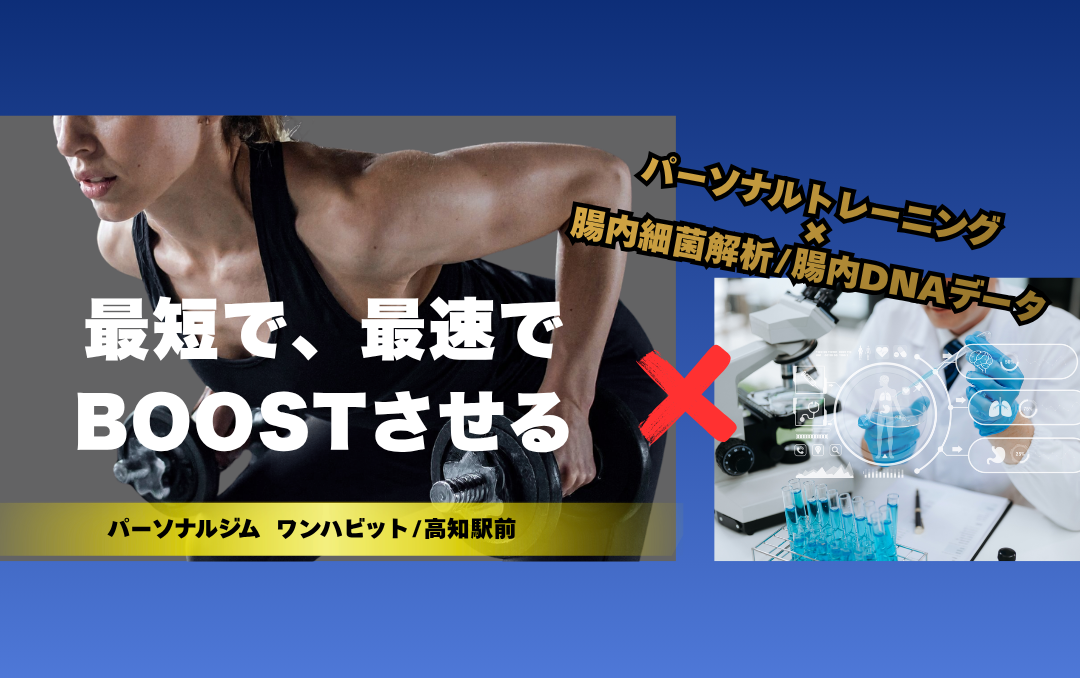 ブーストプログラム　SNS広告 112